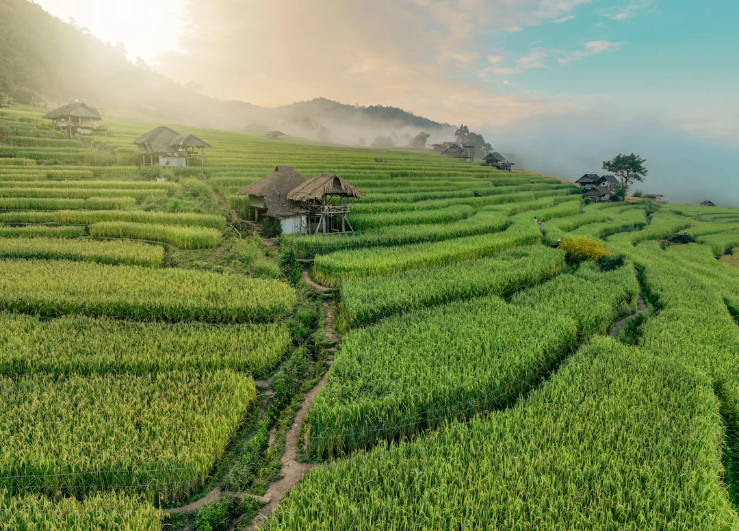 Voyage Chiang Mai en Thaïlande